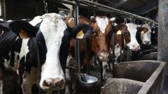 Las explotaciones afectadas que denunciaron podr�n recibir el 2% del total de las ventas realizadas durante los a�os del cartel, m�s sus correspondientes intereses