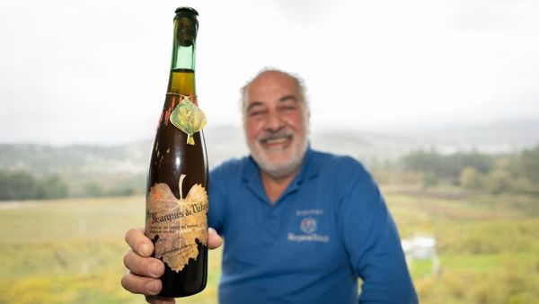 La bodega lanza la campaa ?Guardianes del tiempo?.