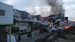 Un incendio calcina una empresa en Nar�n