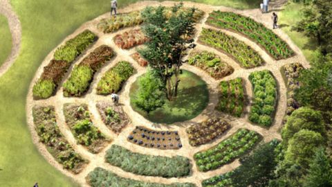 Recreación de una de las zonas de cultivo en permacultura de Los Pericones