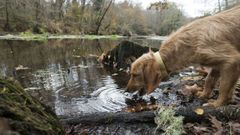 R�o Parga a su paso por Parga