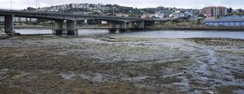 La foto de ayer, por la tarde, con la marea baja, muestra la acumulaci�n de residuos que frena el potencial extractivo de la r�a. 