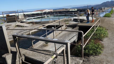 Vista general del sistema que surte de agua a la piscifactor�a