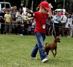 A Toxa se convertir�, otra vez, en la capital gallega canina.