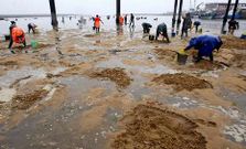 En la cofrad�a de Vilanova, el n�mero de mariscadoras baj� un 23 % en los �ltimos diez a�os, un descenso generalizado en la r�a.
