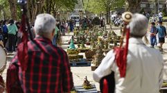 Celebraci�n de los Maios en Allariz 