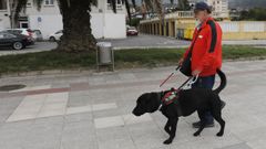 Un can-gu�a axuda a unha persona con dificultades de visi�n