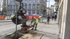 Trabajos para plantar ayer los �rboles en la calle de la Iglesia, a la altura de la plaza de la Constituci�n.