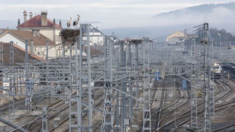 La instalacion hace aos de la catenaria les ofrece una cantidad inmensa de lugares donde anidar