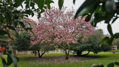 La mujer deambulaba por las inmediaciones de los jardines de Ravella, en Vilagarc�a