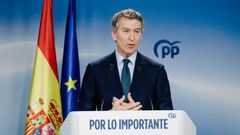 El presidente del Partido Popular, Alberto N��ez Feij�o, durante una rueda de prensa, en la sede del PP, a 23 de enero del 2026, en Madrid (Espa�a).