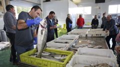 Una de las actividades que se llevar�n a cabo ser� una simulaci�n de subasta de pescado