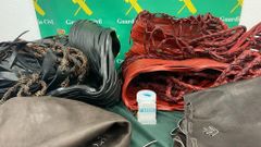 La Guardia Civil de Asturias detiene a una persona por delito de tr�fico de drogas