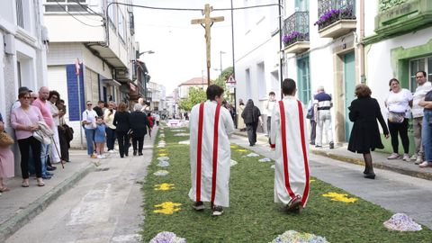 Alfombras flores de Ares