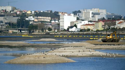 burgo.Los montículos de arena que serán esparcidos. Una máquina los draga desde la desembocadura de la ría, en Santa Cristina, hasta su nacimiento por unos tubos de dos kilómetros y medio de longitud y los que la arena va mezclada con agua