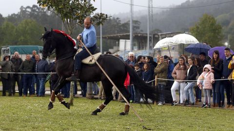 Feria caballar en las Fiestas de San Marcos 2019