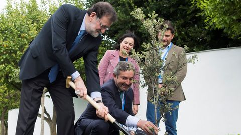 Rajoy plant, en el jardn del hotel que acoge la convencin, una encina. Un rbol muy duro, bonito y espaol