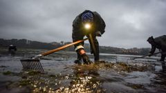 Mariscadoras en la r�a de Pontevedra a mediados de abril del 2026.