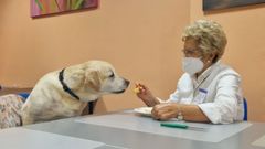 Una de las usuarias de Afal, dando de comer a Nala