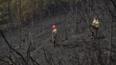 Dos brigadistas en un monte arrasado cerca de la frontera entre Ourense y Zamora, este viernes.
