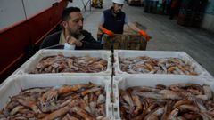 Pescadores de distintos puertos gallegos, como este patrn de un arrastrero de Burela,descargando voladora en A Corua a finales del 2022