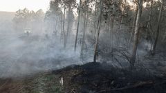 O incendio de Entrecruces, en Carballo, xa controlado