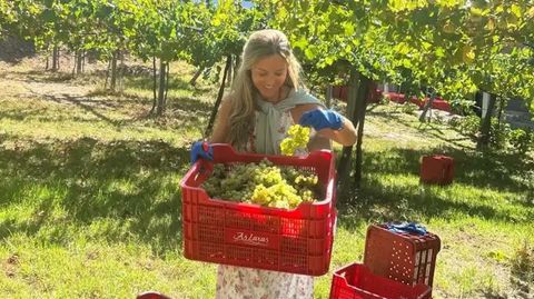 As Laxas.�La bodega buscar acercar esta tarea a todos los p�blicos, aunque nunca la hayan experimentado, y que los participantes puedan recoger la uva y visitar las instalaciones en el momento de m�s actividad.