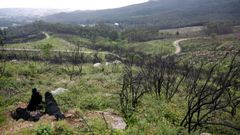 Montes gestionados por la comunidad de San Pedro de Cea