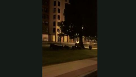 Jabal�es a la carrera por La Florida