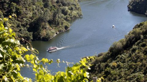 El catamarn del Sil es el que tiene mayor aceptacin en la Ribeira Sacra