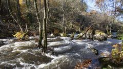 Zonas como los torrentes de M�cara reflejan la riqueza natural y paisaj�stica del alto Ulla  
