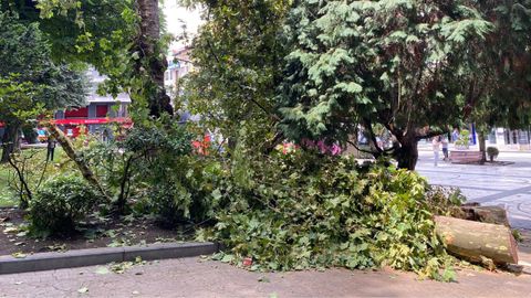 Campo de San Francisco