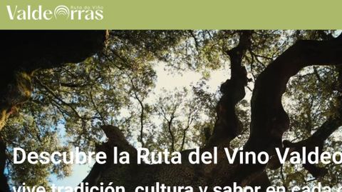 Captura de la renovada web con la nueva imagen.