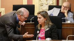 El pleno de este viernes dio cuenta de la dimisi�n del candidato del PP a la alcald�a, Manuel Cabezas. El socialista Paco Rodr�guez s� mantiene su acta, pero tendr� un papel secundario en el grupo. Ayer no tom� la palabra, por ejemplo.