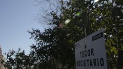 Los hechos ocurrieron en una jornada de caza