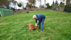 Antonio Ferreiro, con una de las cabras muertas, en su finca de Labio. 