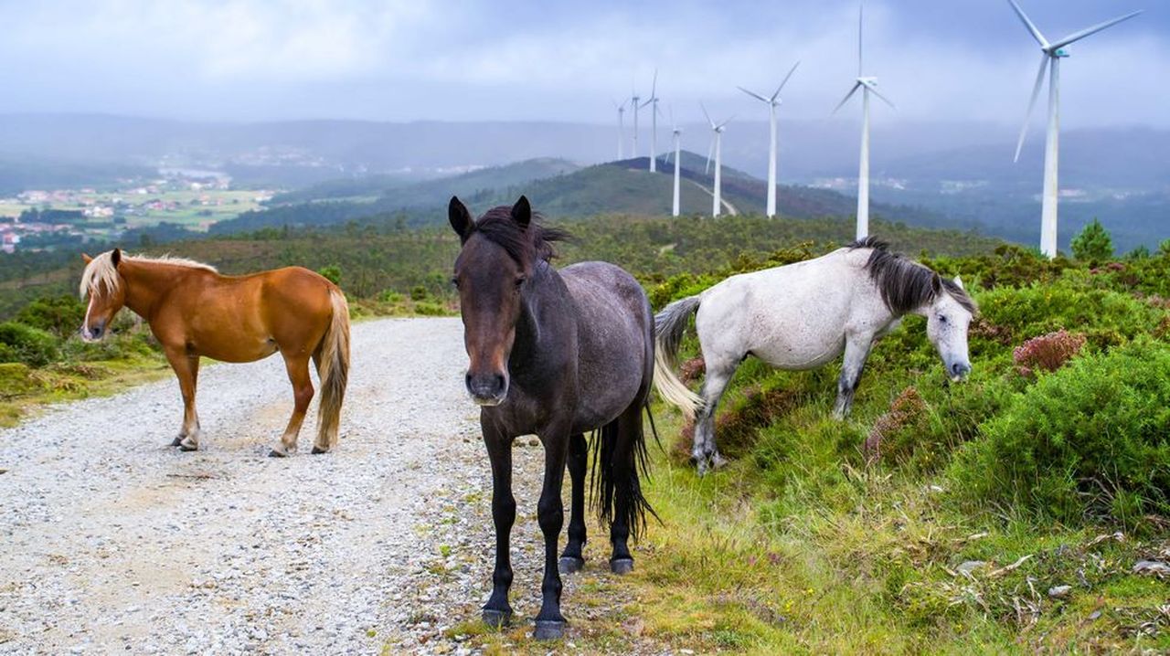 El sector eléctrico planea inversiones en Galicia por 3.500 millones hasta el 2035