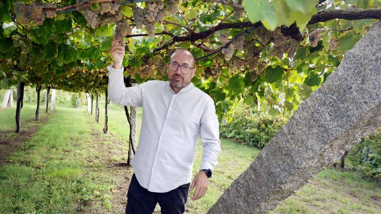 Miguel Tub�o sost�n que a agricultura rexenerativa pode ser interesante para o vi�edo galego