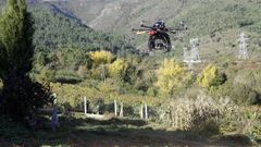 Dron realizando mediciones en un vi�edo gallego