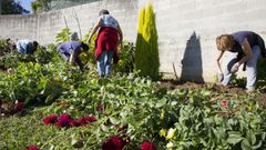 Guerra vecinal por las flores del cementerio en Carballo