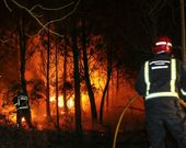Imagen del fuego ocurrido en la medianoche del 23 de marzo. 