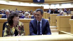 Carmen Calvo y Pedro Snchez, durante la sesin de control al Gobierno en el Senado