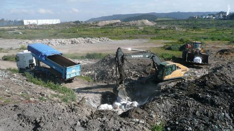 Quema de la patata afectada por la polilla guatemalteca en Cogersa