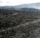 La Serra do Larouco sufri� importantes da�os. 