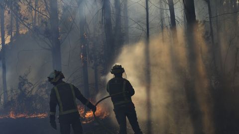 Incendio en una nave de pollos de Castro de Rei.