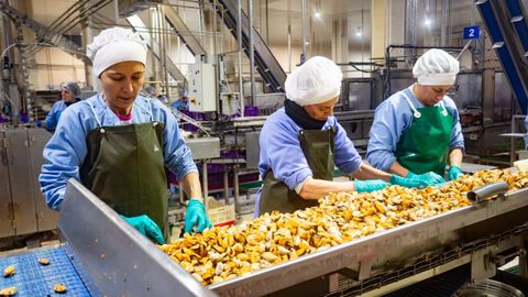 Visita a la conservera Orbe en el pol�gono de A Reigosa en Pontecaldelas.