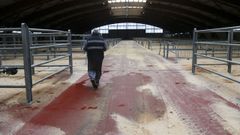 Mientras las restricciones de los mercados sean temporales, los tratantes consideran que el mercado no se ver especialmente afectado. Los problemas pueden venir si estas restricciones se prolongan en el tiempo, para reponer los animales de recra o para hacer salir el que se exporta.  