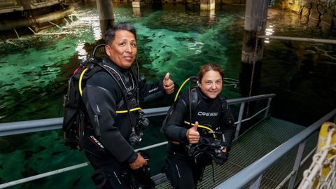 Rafael y Blanca antes de sumergirse en el tanque de la sala Nautilus del acuario