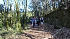 O alumnado facendo traballo de campo na ruta das papeleiras de Lousame