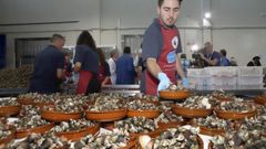 imagen de archivo de la Festa do Percebe de Agui�o